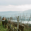 Nikolaihof Wachau na bis!